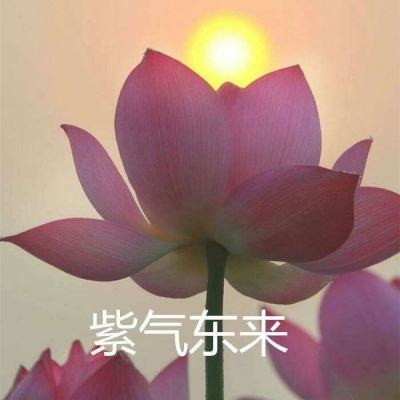 梦幻外传手游官方
